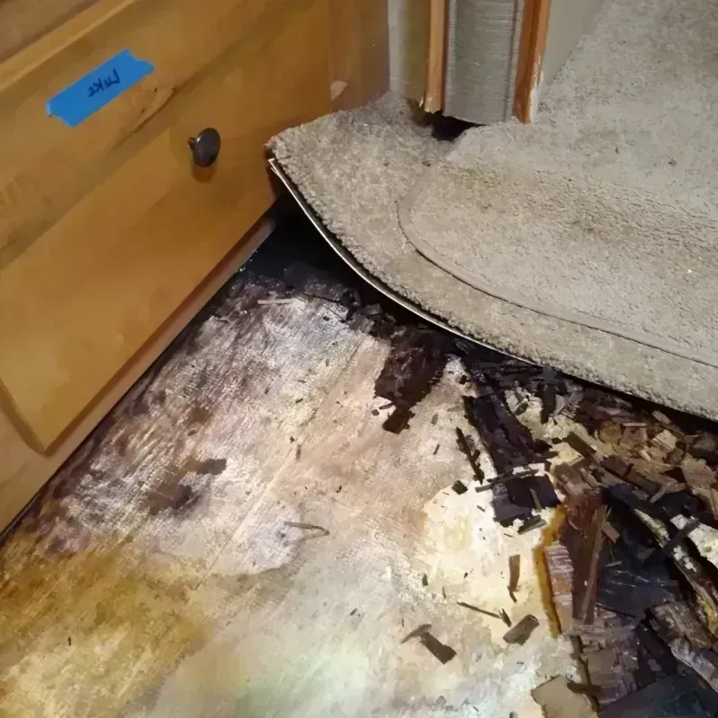 Best Wood Floor Water Damage Service in Olean, NY